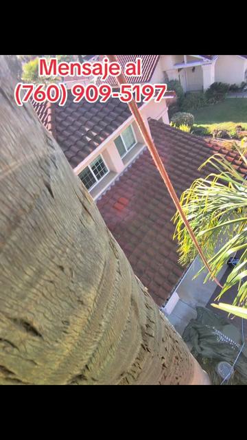@Ramborista Tree Service