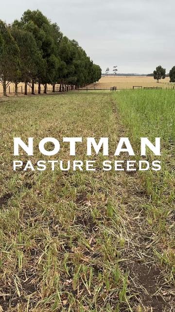 @notmanpasture
