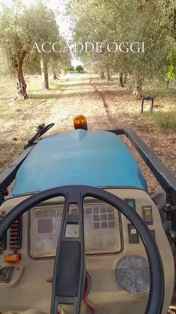 @user8770659710641