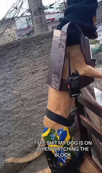 @Laughviral