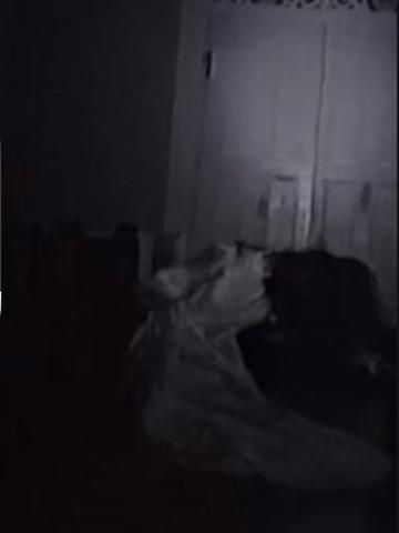 @ilan_us