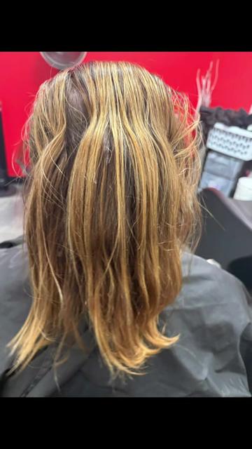 @hairstylingdoglady