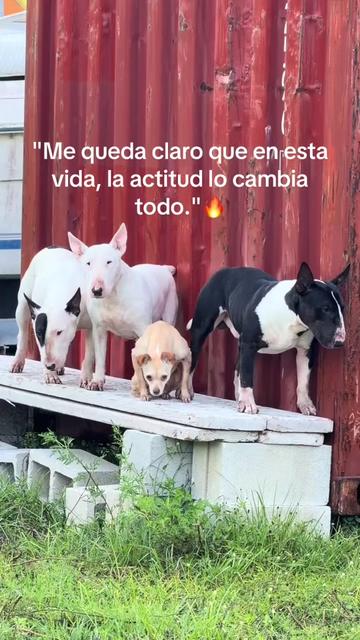 @lulys 💞🥰