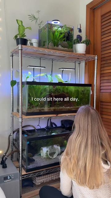 @Ashlyn | Pet Care