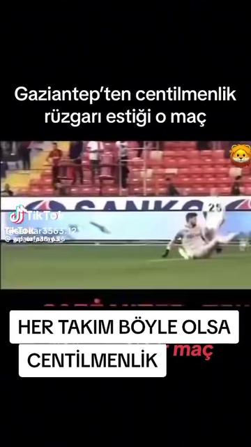@Mehmet Kankaya27