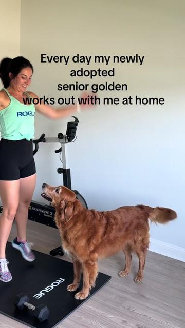 @katiegetsto