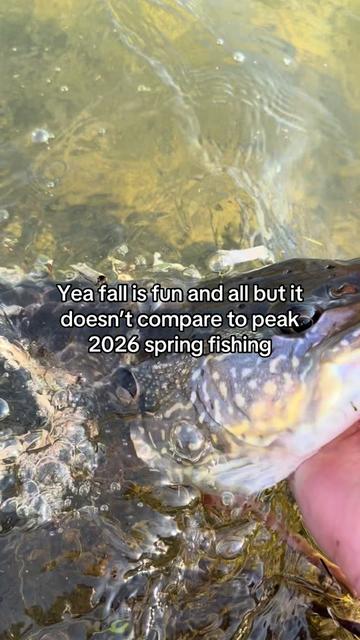 @FattBassFishing