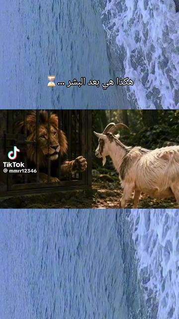 @مسك الختام