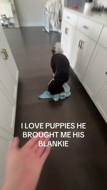 @lindsey ⋆˚꩜。