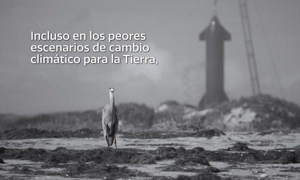 @Artegios Distribución