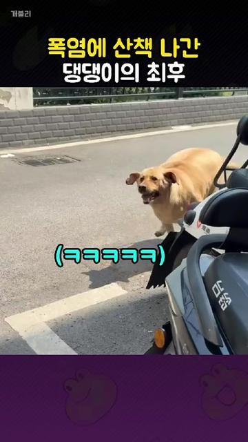 @개블리