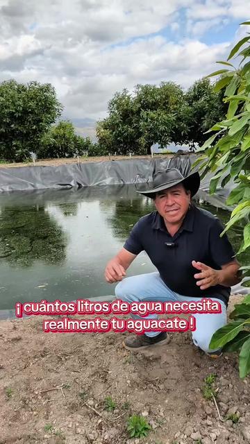 @tour del aguacate