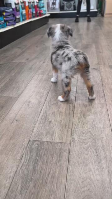 @Petland Oklahoma City