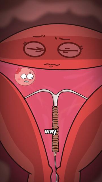 @Funny Animations