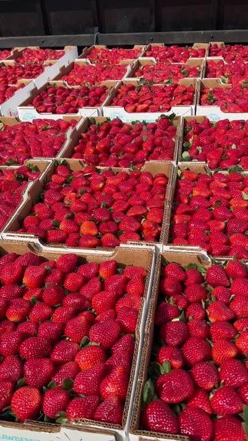 @AVL HARVESTING 👨&zwj;🌾