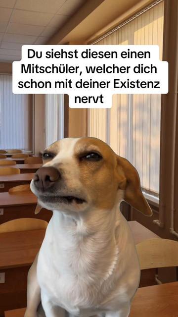 @Daymeme🫨