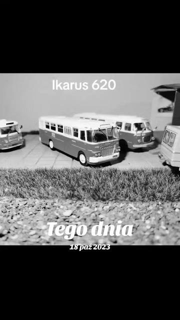 @Krzysztof B