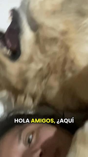 @๐๐๐ฆ ๐๐๐๐๐ซ