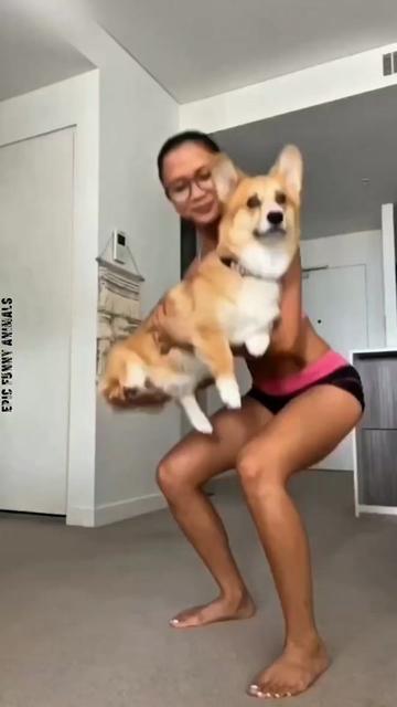 @Epic Funny Animals