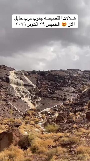 @المكشات