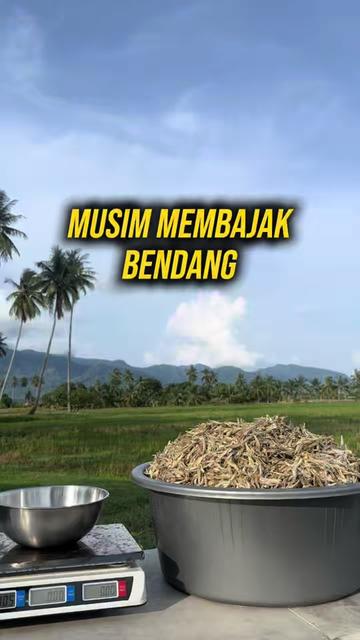 @Belacan House Tg. Dawai