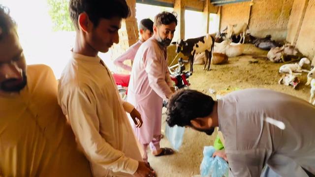 @Bhatti Vlogs 07