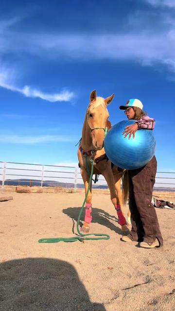 @Cowgirl Tuff Colt Training ❤️