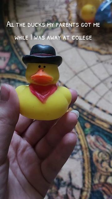 @Lord of the Ducks