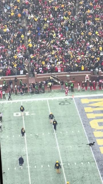 @cleveland.com