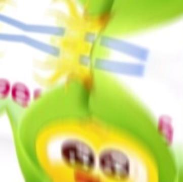 @ethan !!
