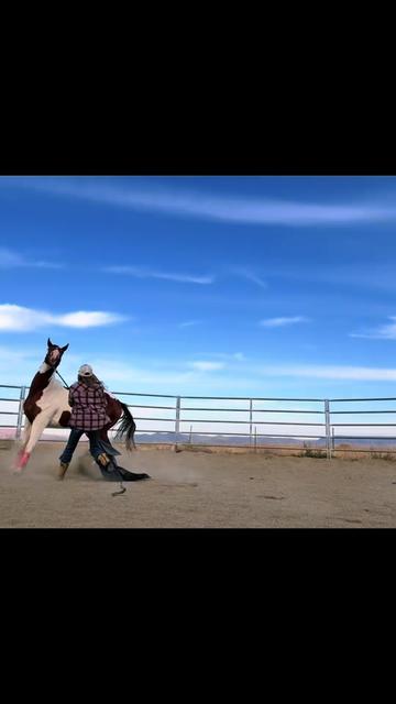 @Cowgirl Tuff Colt Training ❤️