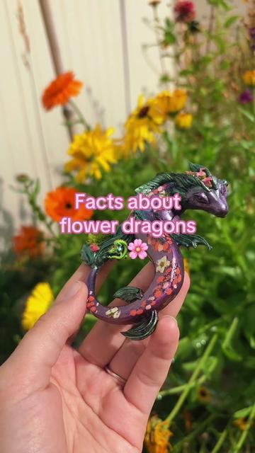 @Merlyn The Dragon Alchemist 🐉