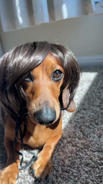 @Slinky Severus-Doo