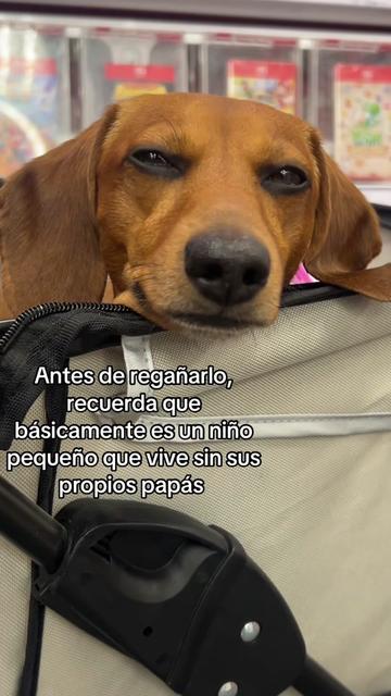 @Slinky Severus-Doo