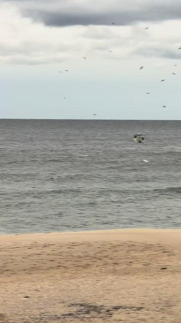 @SurfcastNJ Joe Gray