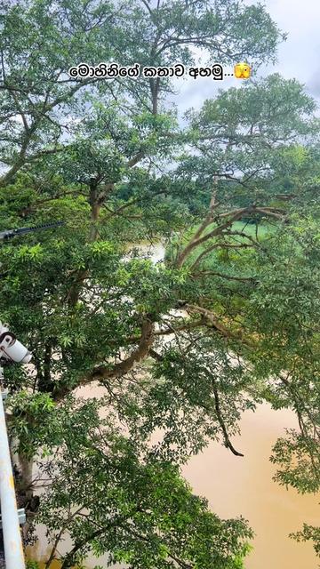 @J C B Boy || ප්රසා 🚜