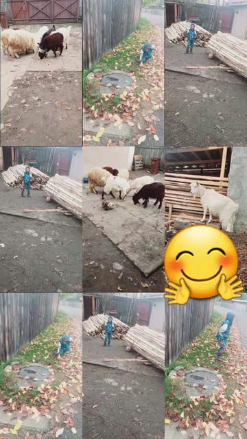 @Florica Lăcrimioara ❤️Aurel &hearts;️