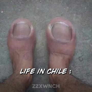 @ZZXWNCH