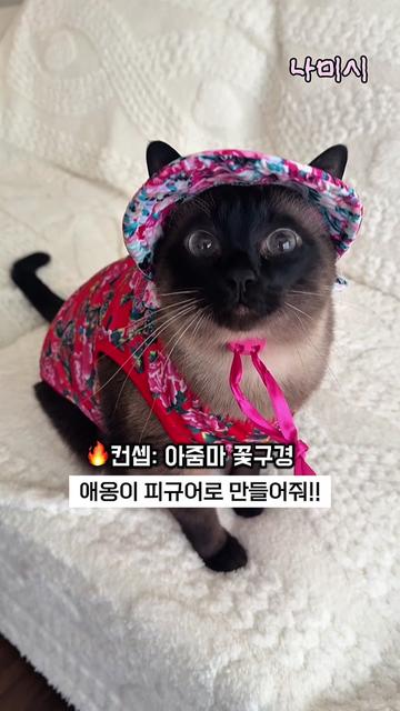 @나미시