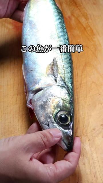 @セイゴ水産