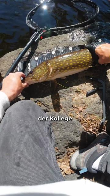 @Gian Fishing