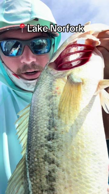 @evan_whitefishing