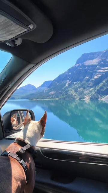 @Steph Vanlife 🥔