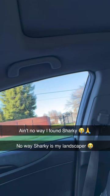 @Sharkyslams