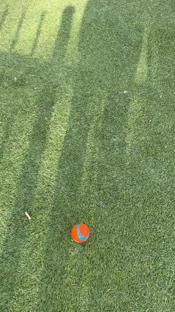 @K Kaur