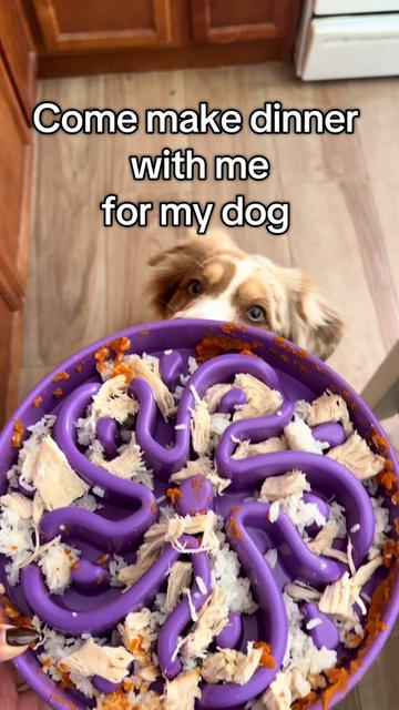 @Pretzel 🥨