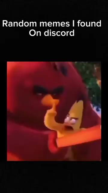 @willybobvidss