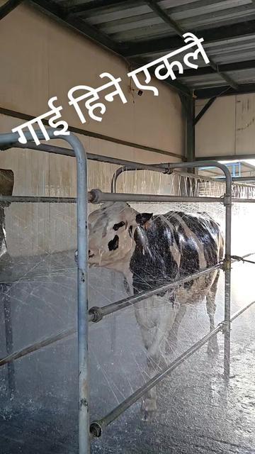 @Banjara Agro