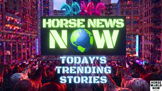 @streamhorse