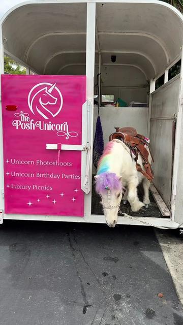 @The Posh Unicorn
